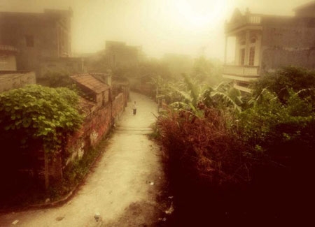 Việt Nam đẹp huyền bí trong sương