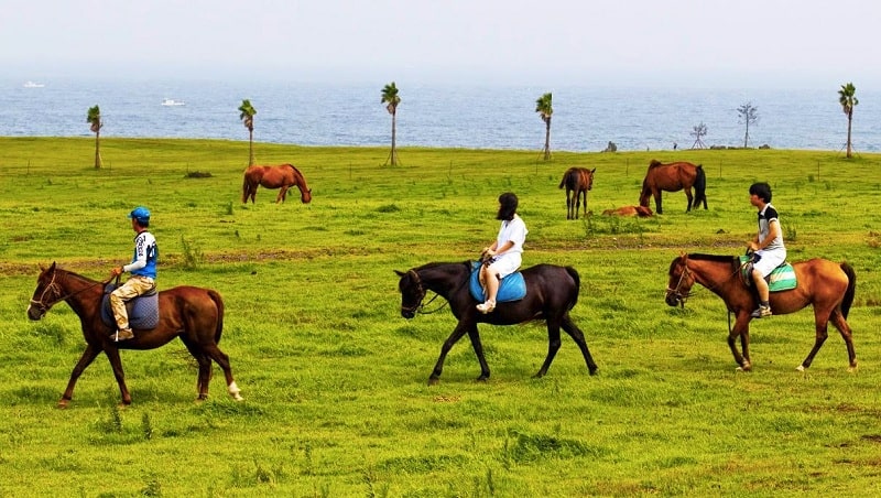 Ghé thăm biển Jungmun Hàn Quốc - điểm du lịch tuyệt vời năm 2019