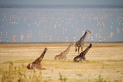 10 địa điểm tự nhiên không thể bỏ qua khi đến Tanzania