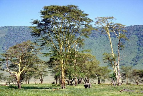 10 địa điểm tự nhiên không thể bỏ qua khi đến Tanzania