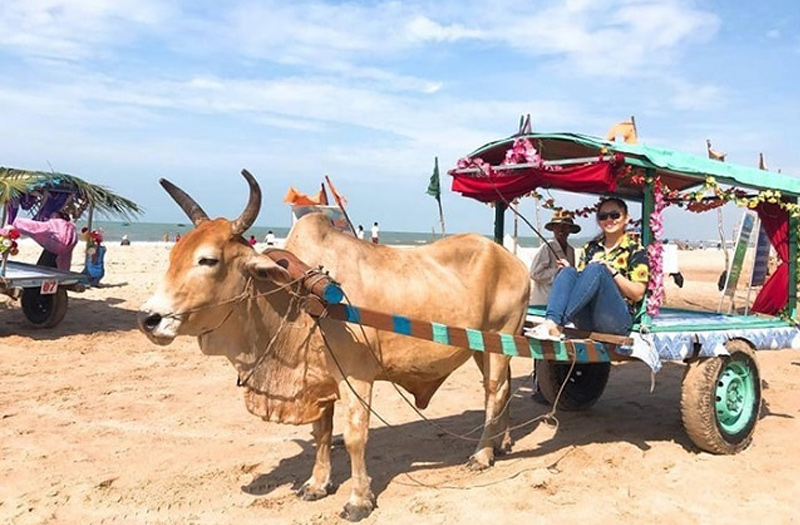 Hè rong chơi nơi bãi biển Cam Bình – thị xã LaGi