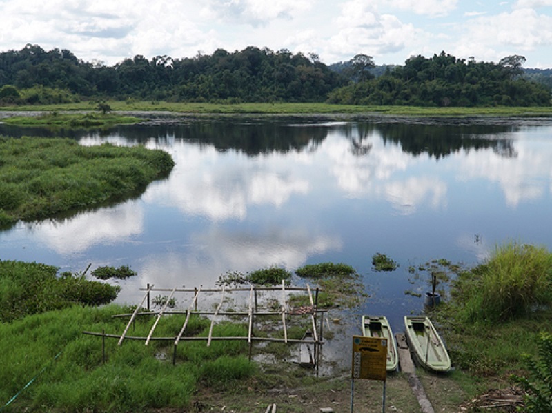 Bàu Sấu 