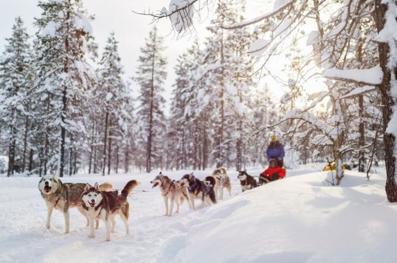 Giáng sinh ở Lapland