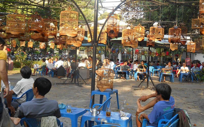 cafe chim Tao Đàn 