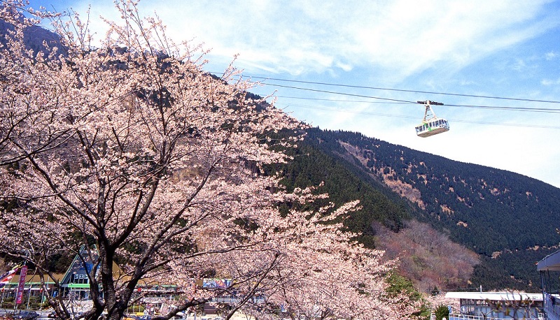 Trải nghiệm cáp treo ngắm núi Tsurumi cao 1.300m ở Nhật Bản