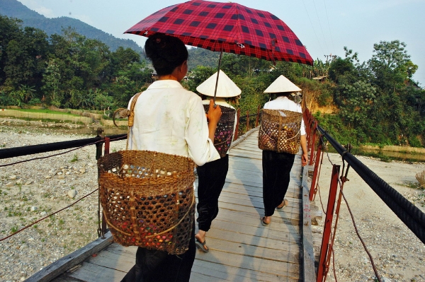 Những chiếc cầu treo đáng sợ nhất Việt Nam13