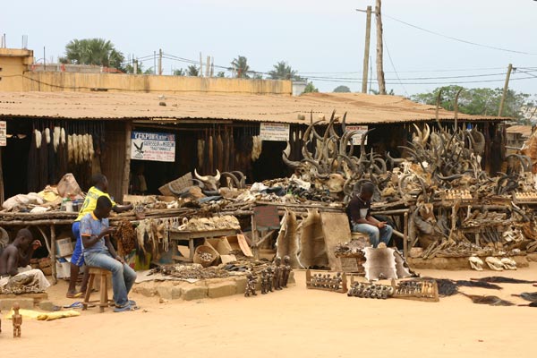 Khu chợ phù thủy kỳ bí nhất châu Phi