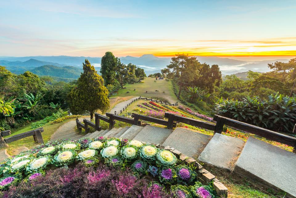 Ngọn đồi hoa xinh đẹp ở Chiang Mai