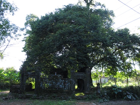 Vẻ đẹp nguy&ecirc;n sơ của ng&ocirc;i l&agrave;ng cổ 500 tuổi ở Việt Nam