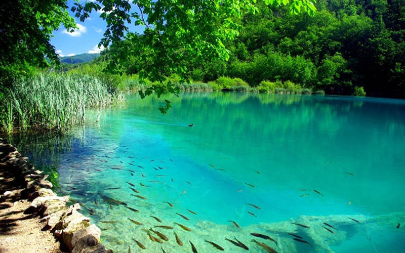 Công viên Quốc gia Hồ Plitivice - vẻ đẹp của thác ghềnh và hồ nước biếc xanh