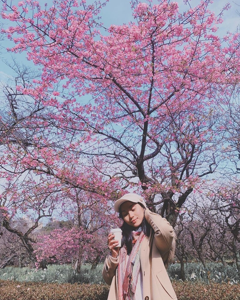  Vẻ đẹp rực rỡ, lãng mạn vào mùa hoa anh đào ở công viên Shinjuku Gyoen