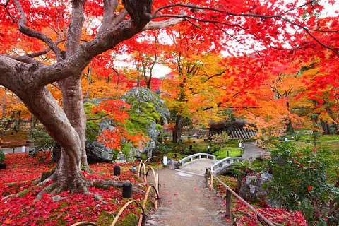 Công viên Cung điện Hoàng gia Kyoto