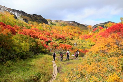 Đi bộ leo núi ngắm cảnh ở vườn quốc gia Daisetsuzan