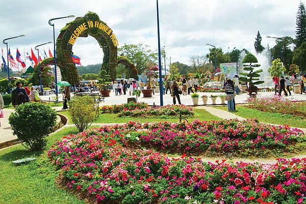 Du ngoạn Đ&agrave; Lạt, h&ograve;a nhịp c&ugrave;ng Festival Hoa