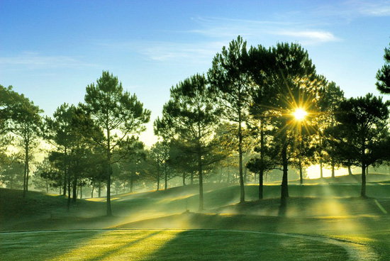 Đ&agrave; Lạt xứ sở hoa hồng v&agrave; sương muối