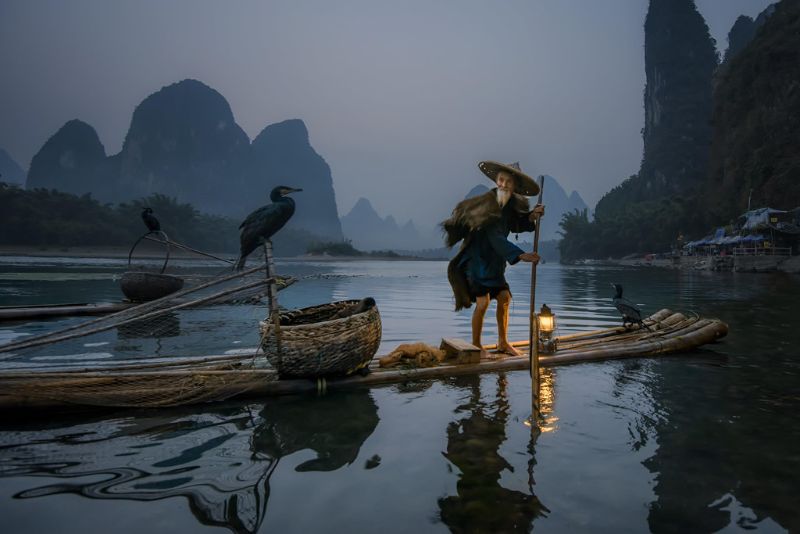 Độc đáo nghề đánh bắt cá bằng chim cốc ở Quế Lâm, Trung Quốc