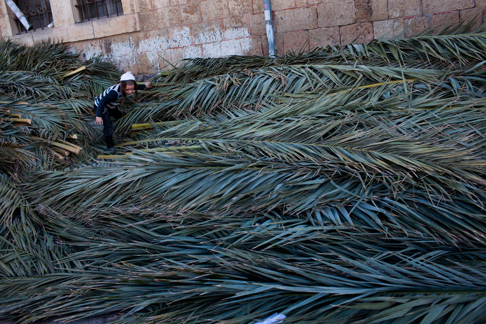 Lễ Sukkot - lễ tưởng niệm linh thi&ecirc;ng của người Do Th&aacute;i