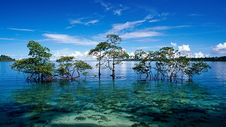 Côn Đảo đẹp hoang sơ số 1 trên tạp chí Mỹ