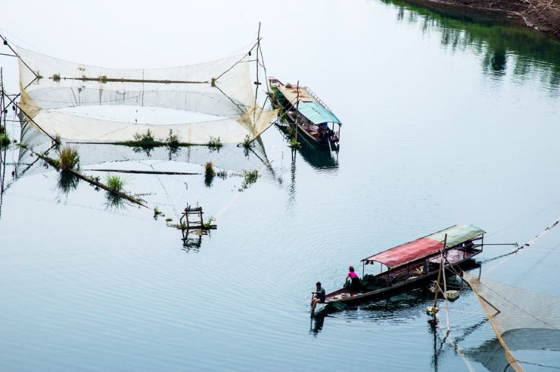 Đến Tây Bắc ngắm hoa gạo