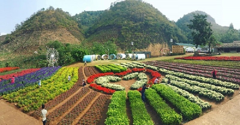 địa điểm du lịch Mộc Châu