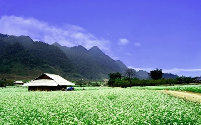 địa điểm du lịch Mộc Châu