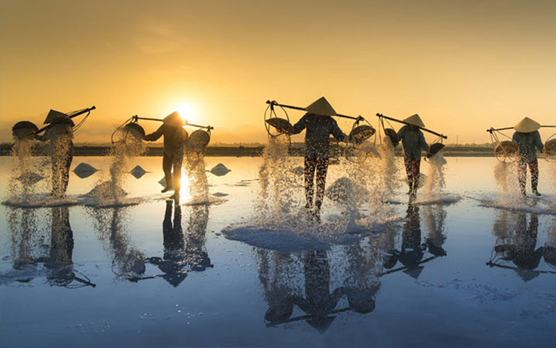 Vẻ đẹp của cánh đồng muối Bạch Long - Nam Định