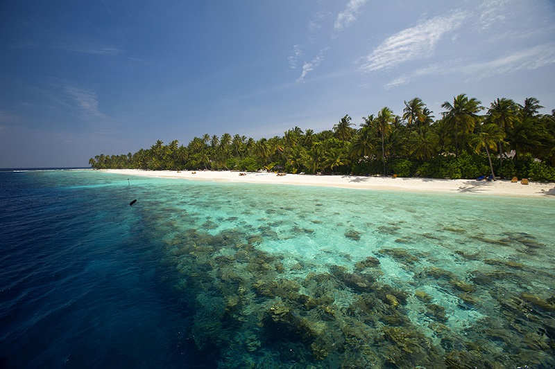  du lịch Maldives