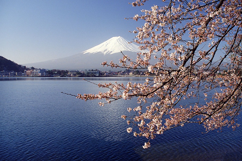 du lịch Tokyo