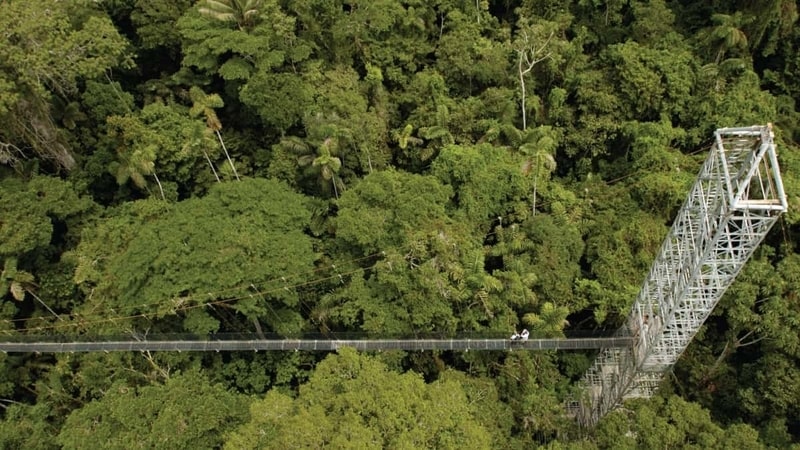  Trải nghiệm du lịch sinh thái bền vững ở Ecuador