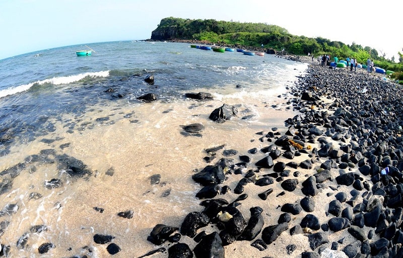 Những viên đá cuội nằm san sát trên bãi biển