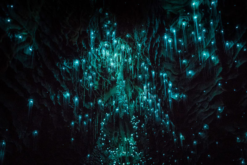 New Zealand và những hang động đẹp nhất thế giới