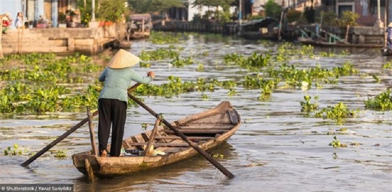 Hình ảnh về Việt Nam đẹp ngỡ ngàng trên báo Anh