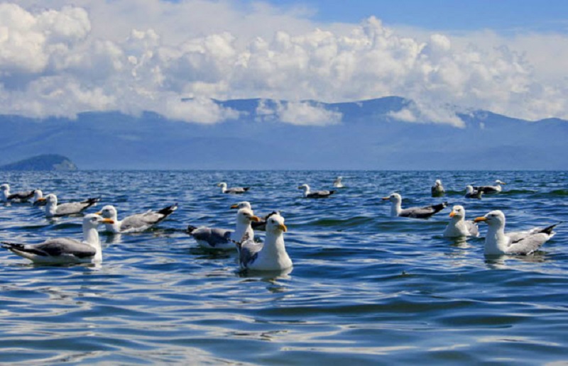 Ngắm vẻ đẹp tuyệt mỹ của hồ Baikal - hòn ngọc vùng Siberia