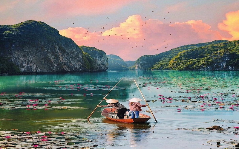 Hồ Quan Sơn vào mùa sen nở đẹp đến mê hồn