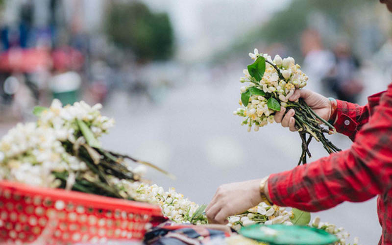 Tháng ba mang hương hoa bưởi tràn về khắp nẻo phố Hà Thành