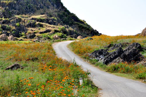  Phi&ecirc;u l&atilde;ng H&agrave; Giang m&ugrave;a c&uacute;c dại