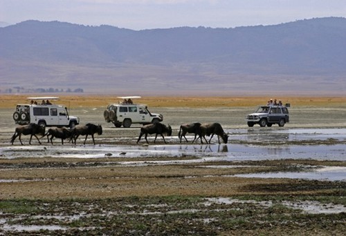 kham pha thien nhien hoang da o nui lua Ngorongoro