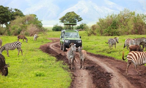 kham pha thien nhien hoang da o nui lua Ngorongoro