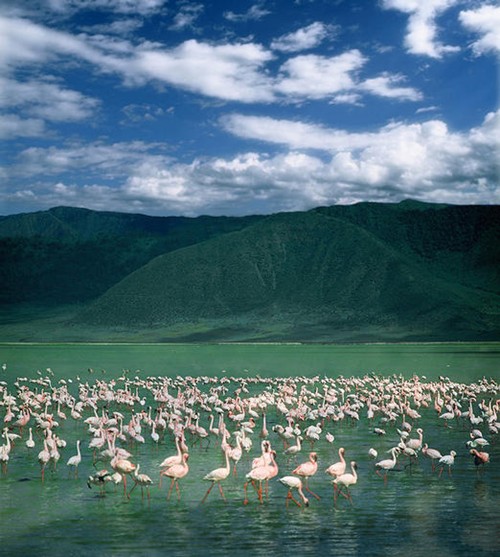 kham pha thien nhien hoang da o nui lua Ngorongoro