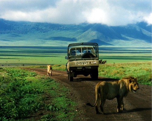 kham pha thien nhien hoang da o nui lua Ngorongoro