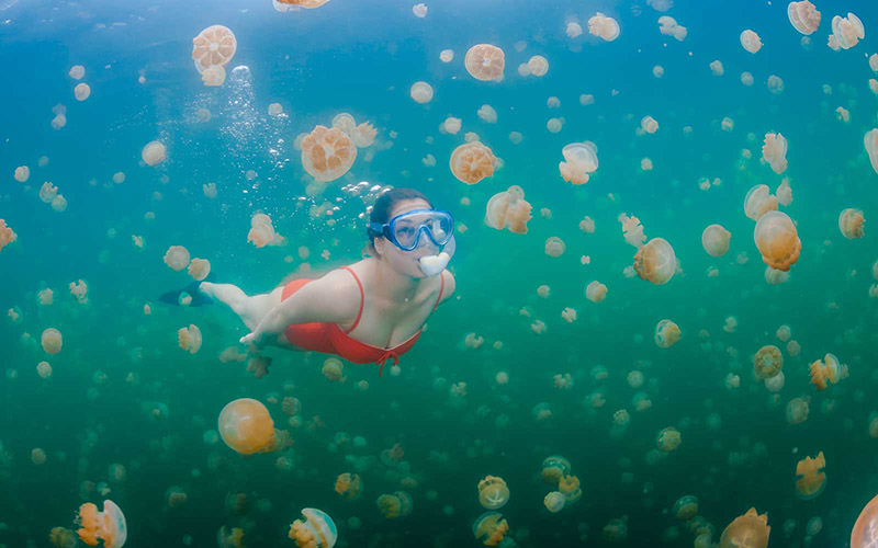 Xách ba lô lên cùng đi tìm hòn đảo huyền thoại mang tên Palau