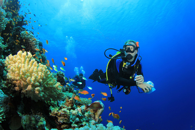 Xách ba lô lên cùng đi tìm hòn đảo huyền thoại mang tên Palau