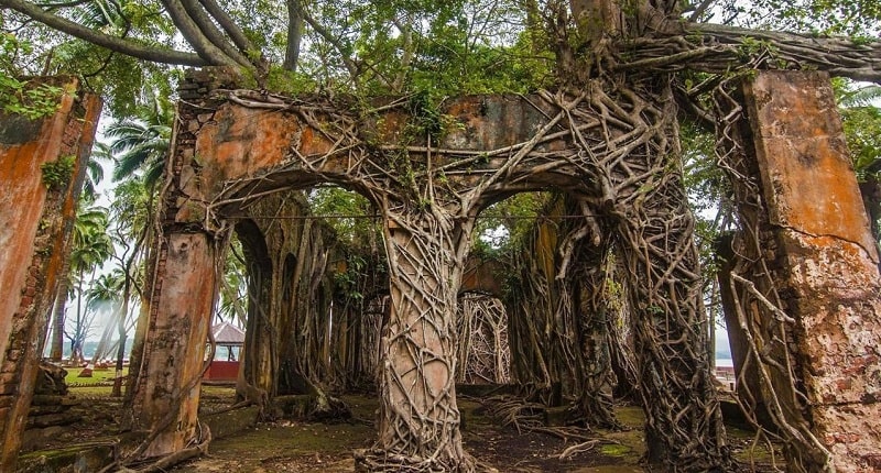 Hòn đảo còn lại tàn dư của những công trình cổ, ẩn sau những lớp rễ cây