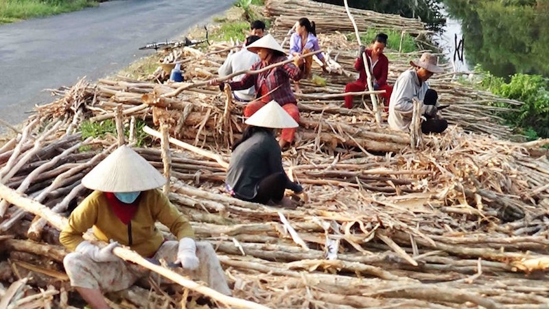 tranh tù vỏ tràm