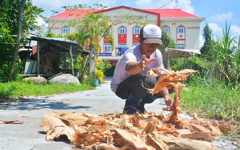 tranh tù vỏ tràm