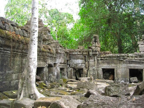 Những cây hoang dần dần mọc lấn vào bên trong các ngôi đền ở đây.