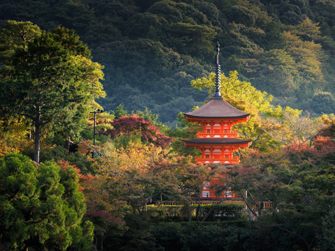 Kyoto là cố đô xưa của Nhật bản