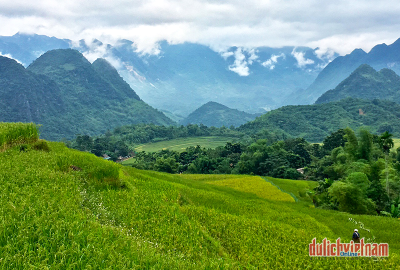 Bản Hiêu 1