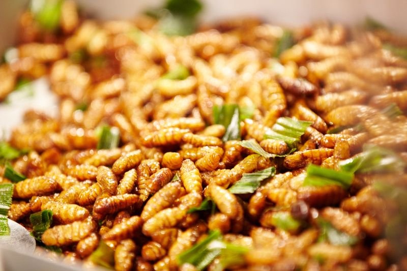 Nhọng ong món ăn đặc trưng ở Rừng U Minh