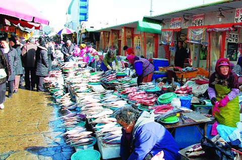 Cận cảnh khu chợ hải sản Jagalchi lớn nhất Đông Bắc Á